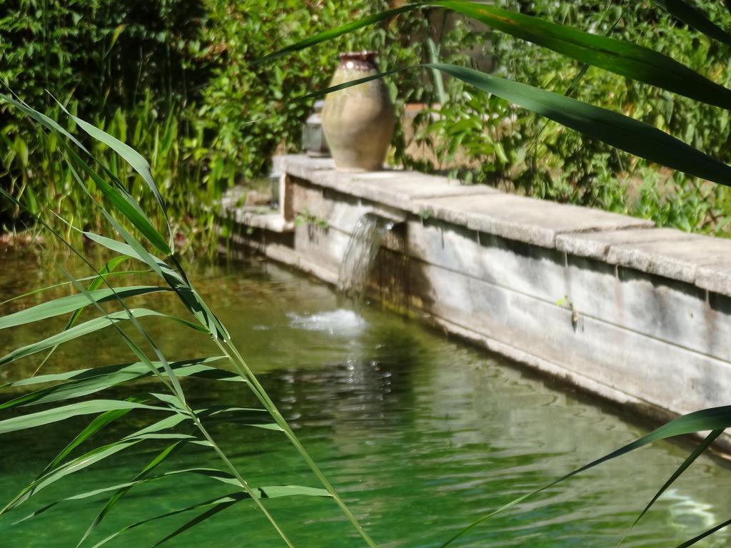Jardin De Canaan Saint-Julien-de-Chedon Exterior photo